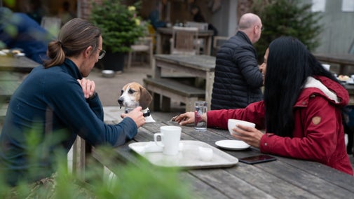 Visitors relaxing outside a courtyard café